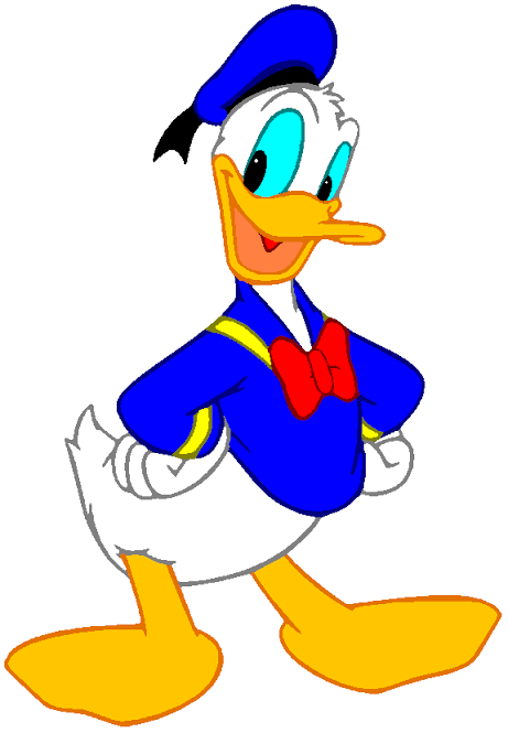 Live ducks photo placeholder; farm product photo pending